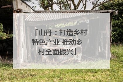 山丹：打造乡村特色产业 推动乡村全面振兴