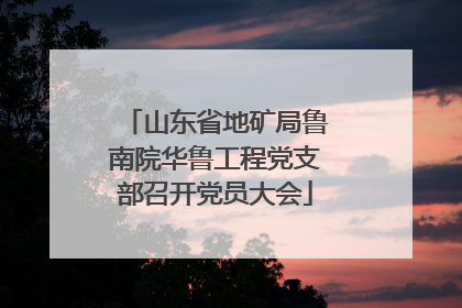 山东省地矿局鲁南院华鲁工程党支部召开党员大会