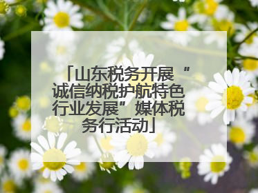 山东税务开展“诚信纳税护航特色行业发展”媒体税务行活动