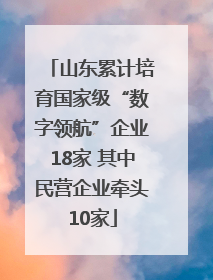 山东累计培育国家级“数字领航”企业18家 其中民营企业牵头10家
