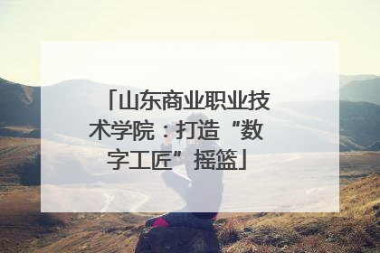 山东商业职业技术学院：打造“数字工匠”摇篮