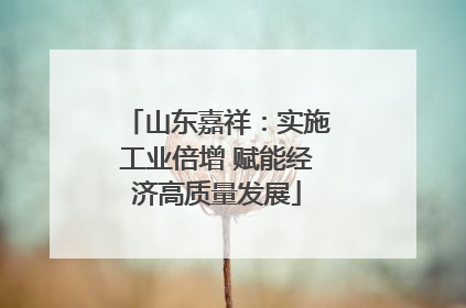 山东嘉祥：实施工业倍增 赋能经济高质量发展