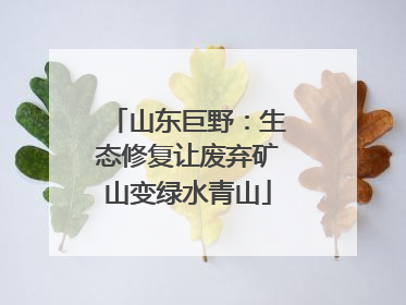 山东巨野：生态修复让废弃矿山变绿水青山