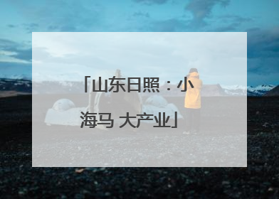 山东日照：小海马 大产业