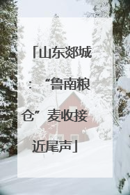 山东郯城：“鲁南粮仓”麦收接近尾声