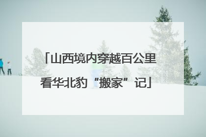 山西境内穿越百公里 看华北豹“搬家”记