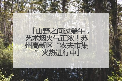 山野之间过端午，艺术烟火气正浓！苏州高新区“农夫市集”火热进行中