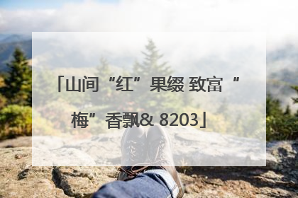 山间“红”果缀 致富“梅”香飘& 8203