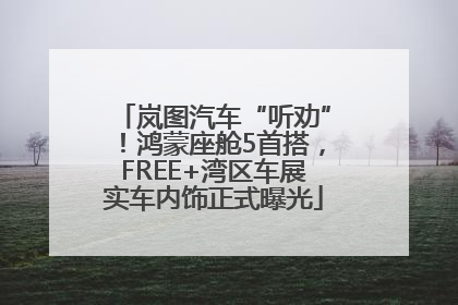 岚图汽车“听劝”！鸿蒙座舱5首搭，FREE+湾区车展实车内饰正式曝光