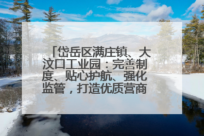 岱岳区满庄镇、大汶口工业园：完善制度、贴心护航、强化监管，打造优质营商“强磁场”