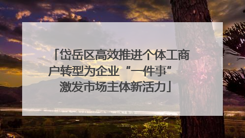 岱岳区高效推进个体工商户转型为企业“一件事” 激发市场主体新活力