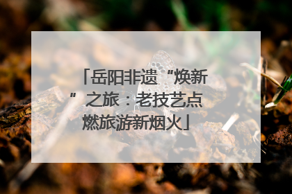 岳阳非遗“焕新”之旅：老技艺点燃旅游新烟火