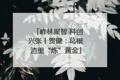 峰林聚智 科创兴张丨贺健：葛根渣里“炼”黄金