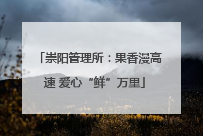 崇阳管理所：果香漫高速 爱心“鲜”万里