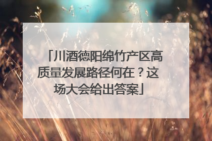 川酒德阳绵竹产区高质量发展路径何在？这场大会给出答案