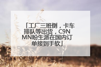 工厂三班倒，卡车排队等出货，C9NMN盼生派在国内订单接到手软