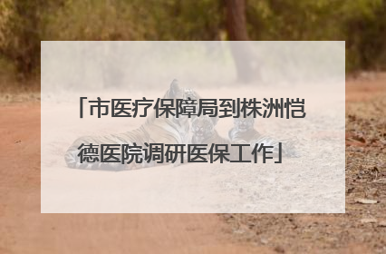 市医疗保障局到株洲恺德医院调研医保工作