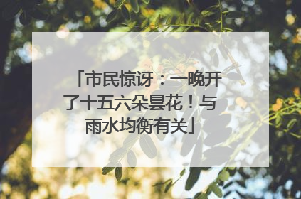 市民惊讶：一晚开了十五六朵昙花！与雨水均衡有关