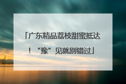 广东精品荔枝甜蜜抵达！“豫”见就别错过