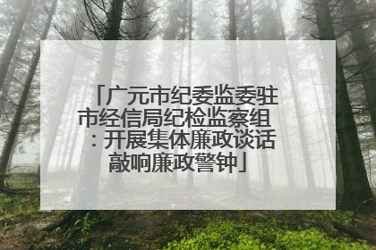 广元市纪委监委驻市经信局纪检监察组：开展集体廉政谈话 敲响廉政警钟