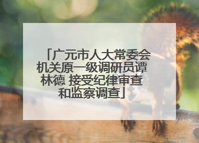 广元市人大常委会机关原一级调研员谭林德 接受纪律审查和监察调查