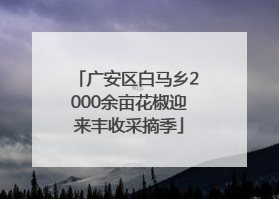 广安区白马乡2000余亩花椒迎来丰收采摘季