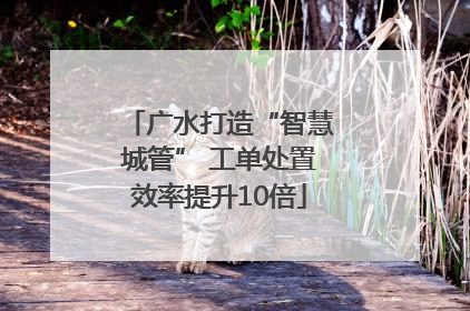 广水打造“智慧城管” 工单处置效率提升10倍