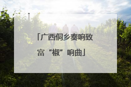 广西侗乡奏响致富“椒”响曲