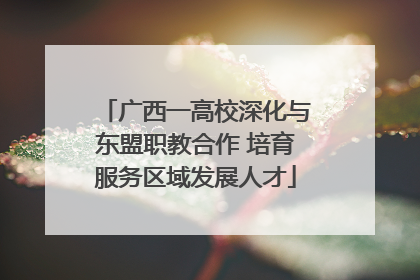 广西一高校深化与东盟职教合作 培育服务区域发展人才
