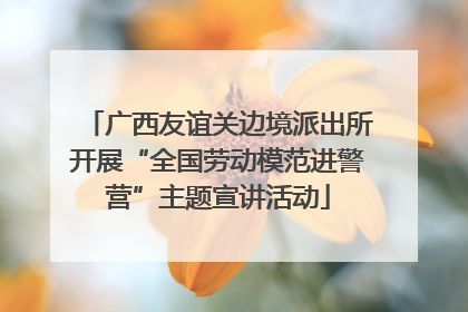 广西友谊关边境派出所开展“全国劳动模范进警营”主题宣讲活动