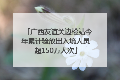 广西友谊关边检站今年累计验放出入境人员超150万人次