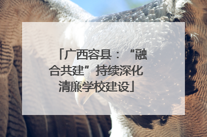 广西容县：“融合共建”持续深化清廉学校建设