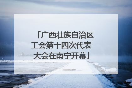 广西壮族自治区工会第十四次代表大会在南宁开幕