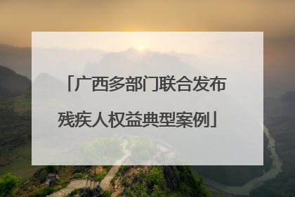 广西多部门联合发布残疾人权益典型案例