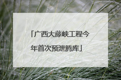广西大藤峡工程今年首次预泄腾库