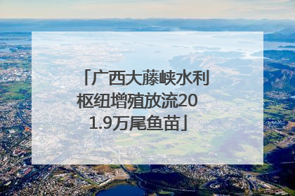 广西大藤峡水利枢纽增殖放流201.9万尾鱼苗
