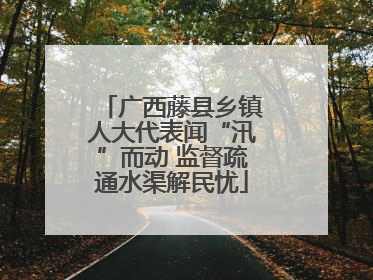 广西藤县乡镇人大代表闻“汛”而动 监督疏通水渠解民忧