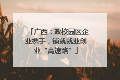 广西：政校园区企业携手，铺就就业创业“高速路”