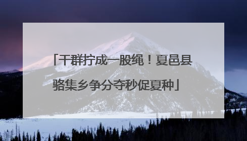 干群拧成一股绳！夏邑县骆集乡争分夺秒促夏种