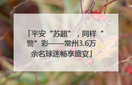 平安“苏超”，同样“警”彩——常州3.6万余名球迷畅享盛宴