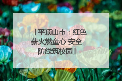平顶山市：红色薪火燃童心 安全防线筑校园