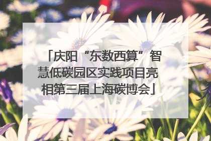 庆阳“东数西算”智慧低碳园区实践项目亮相第三届上海碳博会