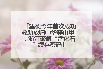 建德今年首次成功救助放归中华穿山甲，浙江破解“活化石”续存密码