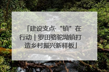 建设支点·“镇”在行动｜罗田骆驼坳镇打造乡村振兴新样板