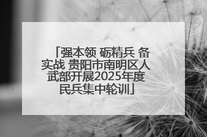 强本领 砺精兵 备实战 贵阳市南明区人武部开展2025年度民兵集中轮训