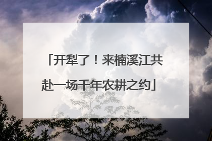 开犁了！来楠溪江共赴一场千年农耕之约