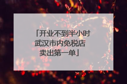 开业不到半小时 武汉市内免税店卖出第一单