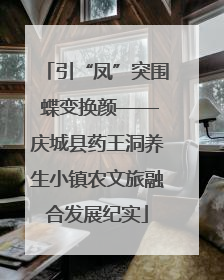 引“凤”突围 蝶变换颜——庆城县药王洞养生小镇农文旅融合发展纪实