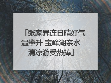 张家界连日晴好气温攀升 宝峰湖亲水清凉游受热捧