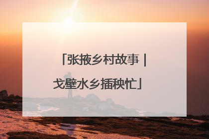 张掖乡村故事｜戈壁水乡插秧忙